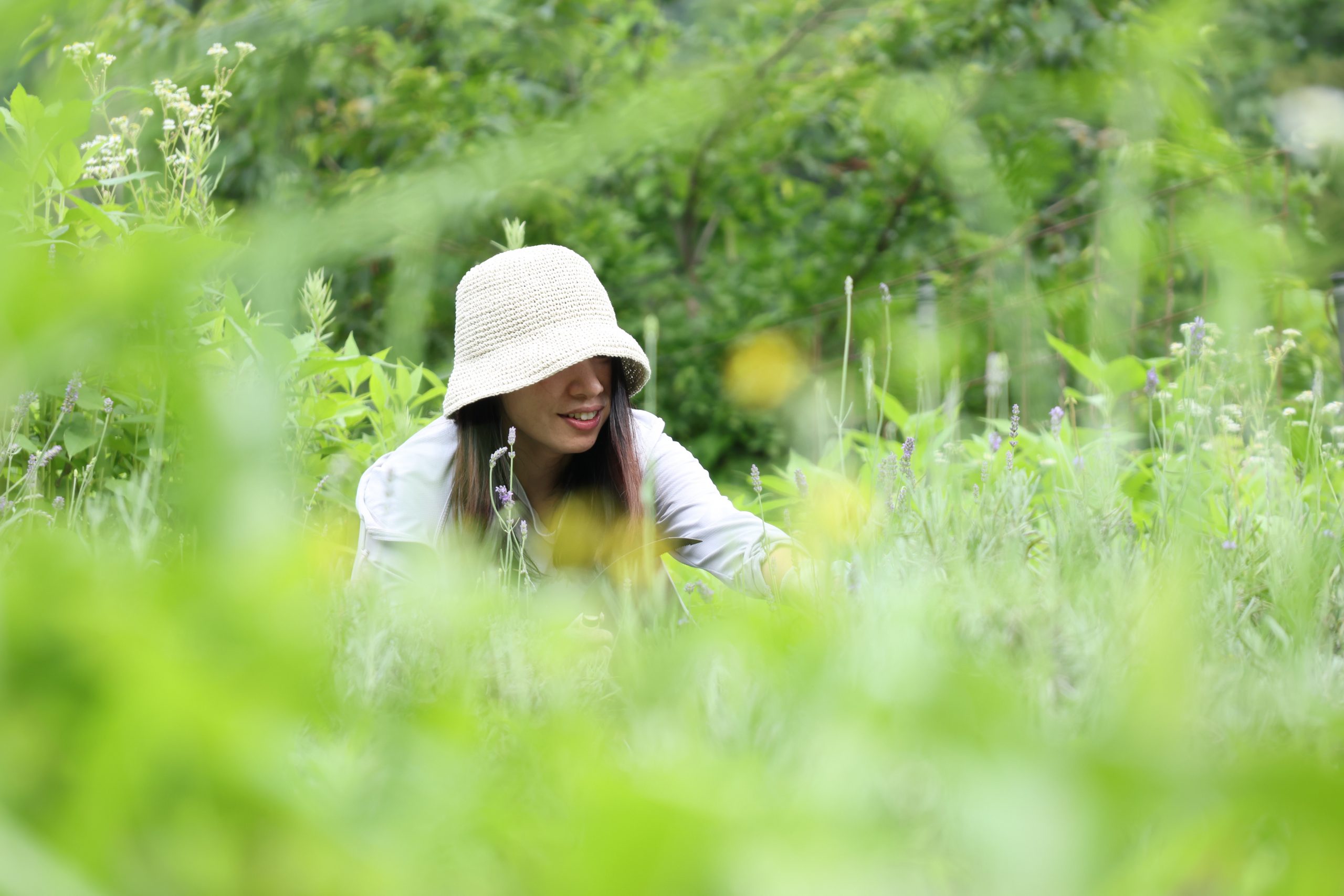 善玉菌リトリート施設 HOLY FUNGUS　オープンを記念して、「5 つの集中リトリートイベント」を実施中です！