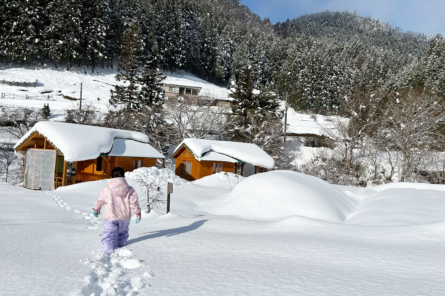 今年は大雪です。