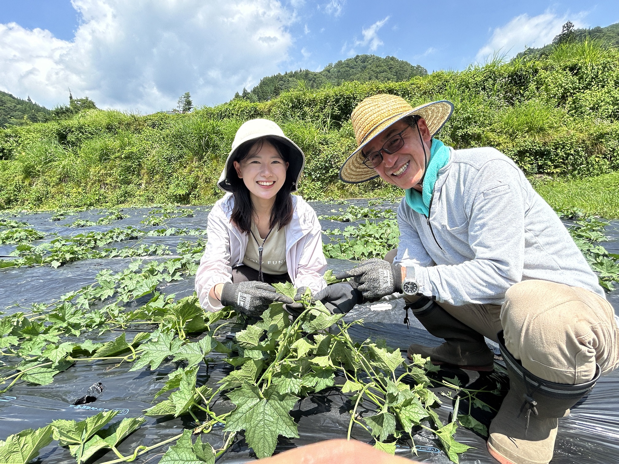 ヘチマとハーブが元気です♪