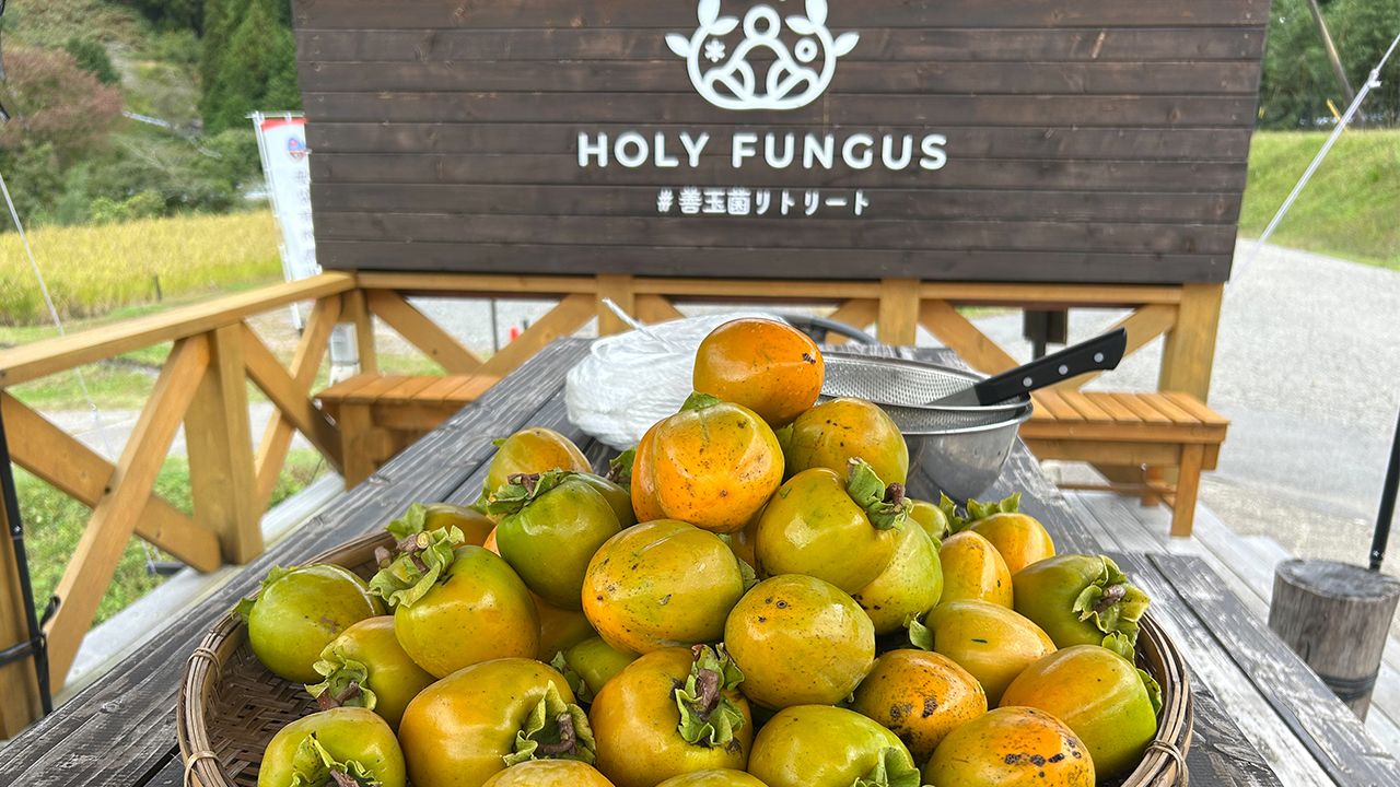 秋の農場より ― 実りの季節の3つの体験