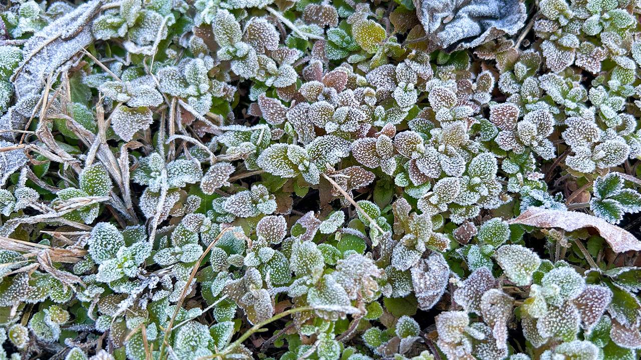 農場の冬支度・年末のご挨拶